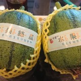 水果絲瓜 每顆500g*2顆/袋 特價：$120