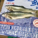 爆蛋母香魚1公斤5隻（每隻單獨包裝）市價＄750-800