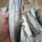 阿根廷~哈克魚🐟 600g ±10%