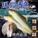 宜蘭現撈公香魚8尾/盒900g±15g/ 效期:2026.05.31 產地台灣