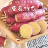 日本品種 栗香地瓜1000g