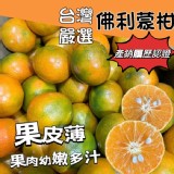 產銷履歷-南投 佛利蒙柑🍊(年柑)「福柑」3斤/袋