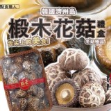 韓國濟州島椴木花菇禮盒 120g