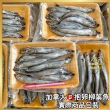 加拿大抱卵柳葉魚200g（一盒〕