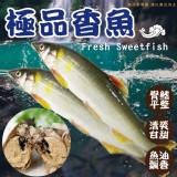 爆卵母香魚920g(4-8P隨機出貨)效期:最新產地:台灣