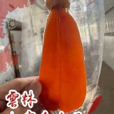 雲林比賽烏魚子約2.2兩/片