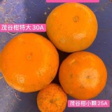 茂谷柑大顆27A級---5斤