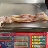 阿根廷烤魷魚5串 特價：$350