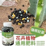 強根壯苗花卉植物通用肥料100g