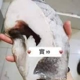嚴選鮮嫩厚切鱈魚 350g/片
