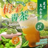 高山梅子青茶40包