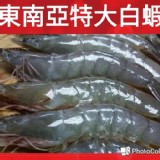 東南亞26/30特大號白蝦600G