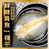 黃魚一夜干350G