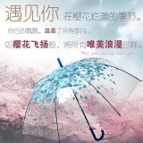 櫻花唯美PVC透明晴雨傘