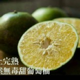 甜葡萄柚(30斤)/箱免運宅配到府