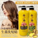 高雅仕妃褆Shifeiti生薑洗髮精1000ml