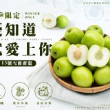 大社台農13號雪麗蜜棗(冬季限定~小果)5斤 (3000g+-5%)市售699/