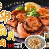 日本北海道帶卵扇貝肉1+1特惠組