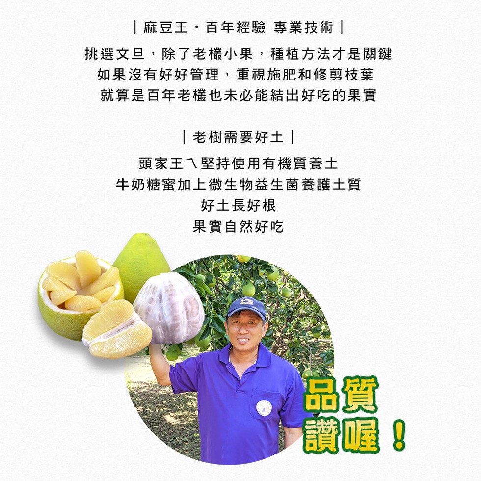 麻豆王,百年經驗 專業技術，挑選文旦,除了老様小果,種植方法才是關鍵，如果沒有好好管理,重視施肥和修剪枝葉，就算是百年老欉也未必能結出好吃的果實，老樹需要好土，頭家王ㄟ堅持使用有機質養士，牛奶糖蜜加上微生物益生菌養護土質，好土長好根，果實自然好吃，讚