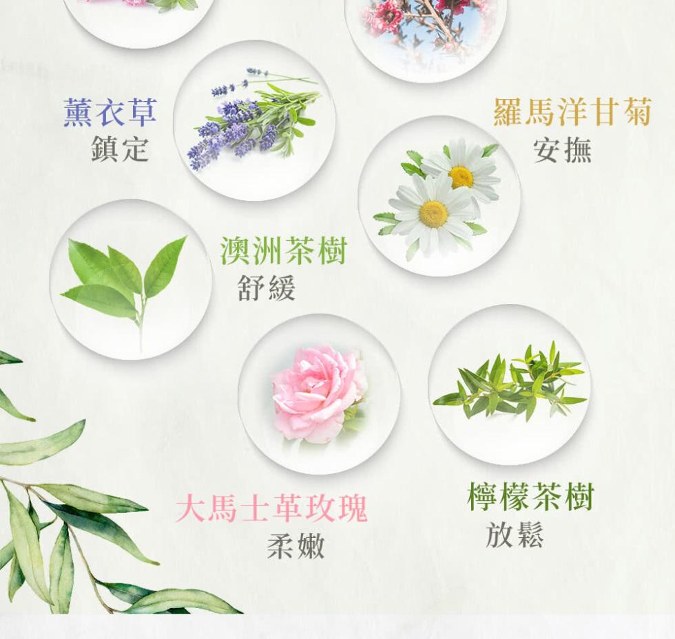 薰衣草，澳洲茶樹，大馬士革玫瑰，羅馬洋甘菊，檸檬茶樹。