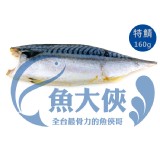 特級款薄鹽挪威鯖魚片