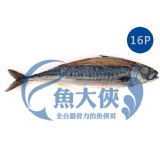 薄鹽漬挪威鯖魚