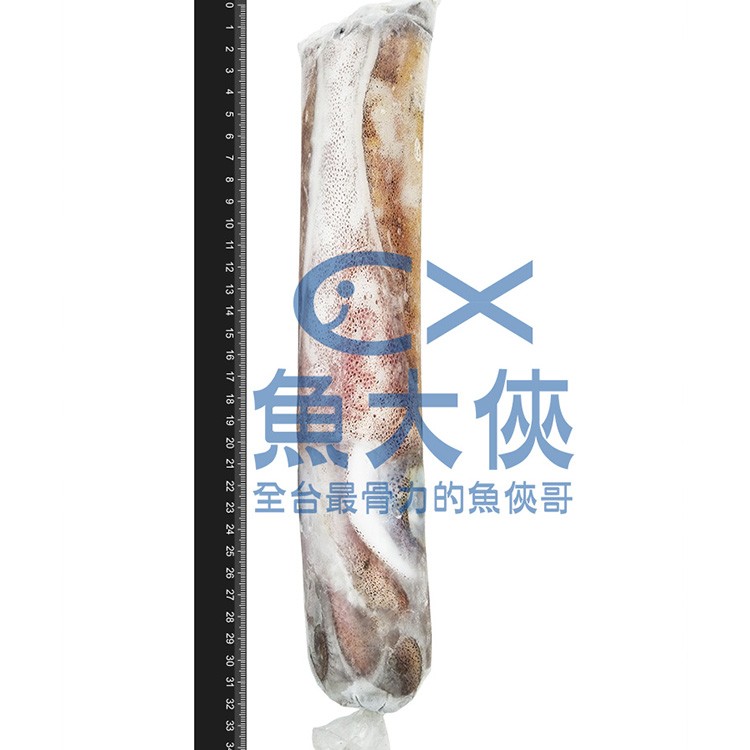 大規格菲律賓船凍4A級軟絲