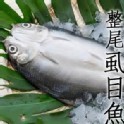 產銷班SGS-特大整尾無刺虱目魚(600g/尾)