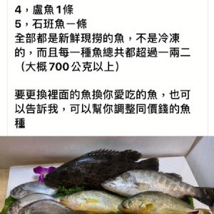 福箱現撈魚貨甜甜價一箱999元