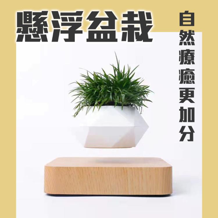 神奇！懸空的植物擺飾【懸浮盆栽】磁浮 飛起來 植栽 布置 花盆 觀葉 造景 辦公室 送禮 交換禮物