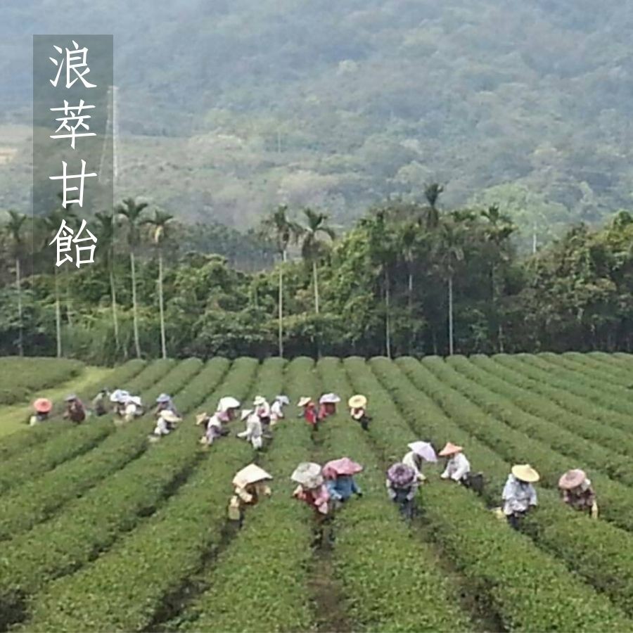 浪萃甘飴。