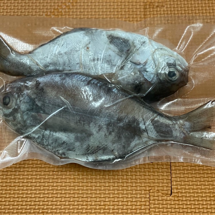 肉魚（2尾/組）