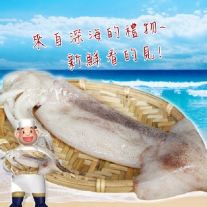 【賣魚的家】BBQ深海魷魚