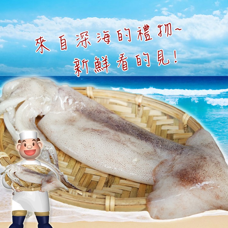 【賣魚的家】BBQ深海魷魚