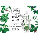 菠啾野草水[2瓶] 特價：$49