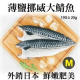 薄鹽挪威大鯖魚(M)