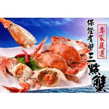 【鮮綠生活】保證有卵三點蟹(7-8隻) 特價：$349