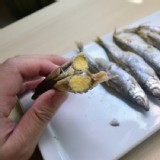 【愛呷魚】加拿大進口爆卵柳葉魚 (單凍高品質) 特價：$110