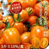 【預購】產地直送 美濃超人氣橙蜜香小番茄禮盒(5斤±10%/盒)