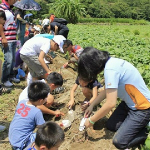 金山旺旺地瓜園焢窯體驗券