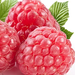 【幸美生技】冷凍莓果系列-覆盆莓