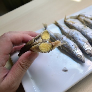 加拿大爆卵柳葉魚