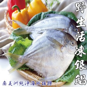 【海之醇】野生活凍銀鯧