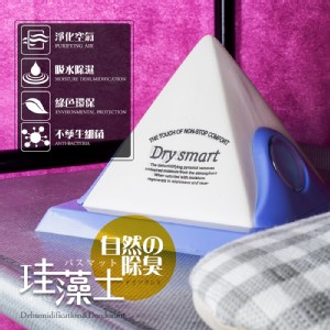 【樂嫚妮】強力除濕器珪藻土矽藻土金字塔Dry smart兩入組