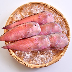 免運!【凍凍鮮】澎湖野生紅新娘魚 200g 200g/包 (20包，每包110元)