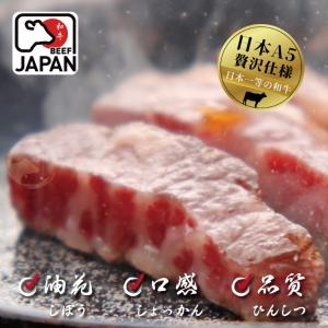 【買一送一】【勝崎牛排】日本A5純種黑毛和牛紐約克牛排~每片只要994元