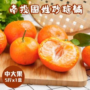 【禾鴻】南投國姓正宗砂糖橘5斤x1盒(大果)