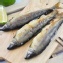 【愛呷魚】外銷日本等級-宜蘭山泉鮮嫩香魚100g(公)