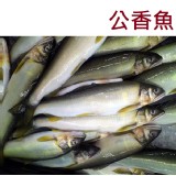 《御廚海鮮》公香魚Ayu