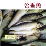 《御廚海鮮》公香魚Ayu